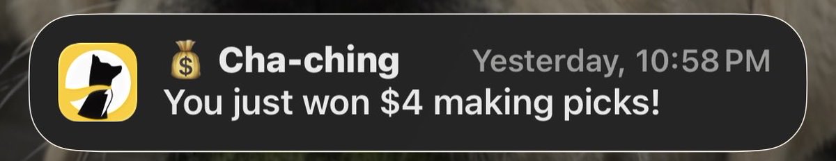 RealRJSarge's tweet image. Hell yeah.