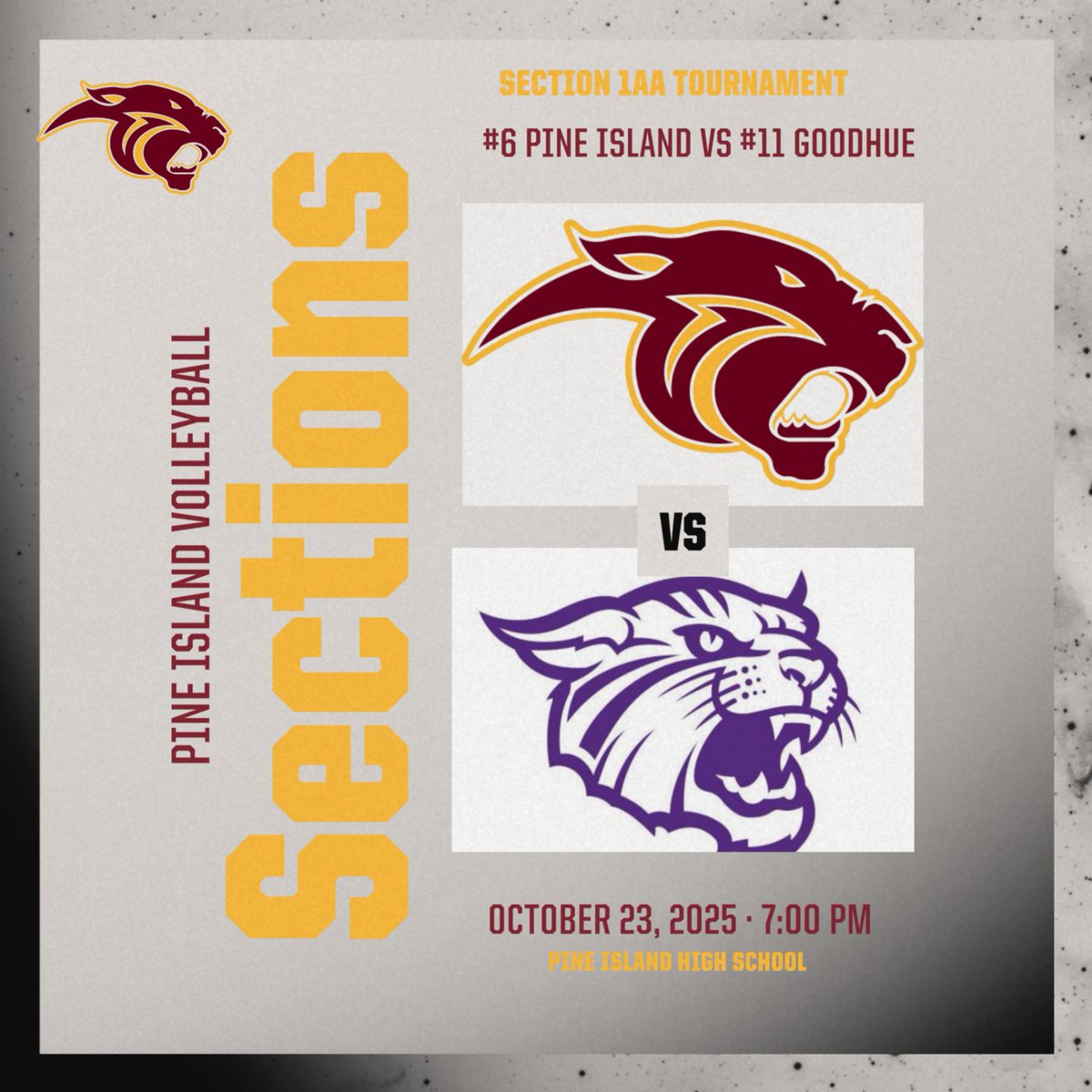 PI Activities (@activitiespi) on Twitter photo 