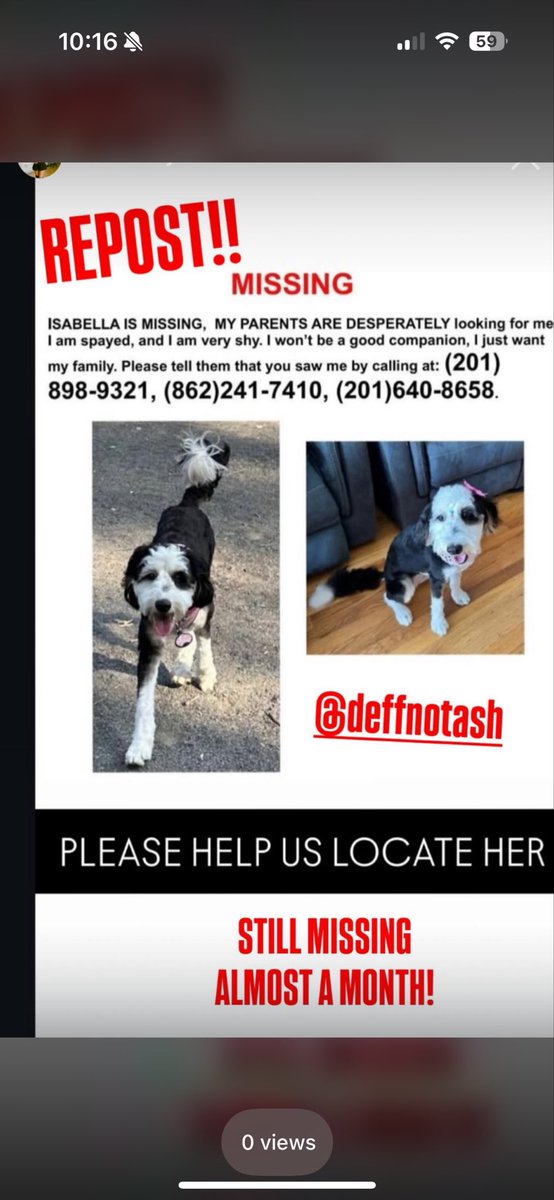 MsMarichell's tweet image. #newark #redbullstadium #harrisonnj #newjersey