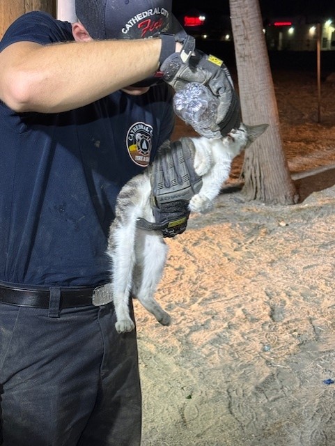 A cat trapped 140 feet inside a conduit in Cathedral City was rescued thanks to teamwork by SCE troublemen and local firefighters.  The rescue involved careful maneuvering from both teams to safely guide the cat out. 🐾💛