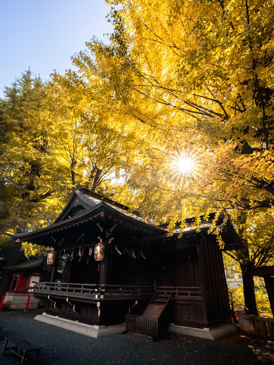 TakuyaAkahoshi's tweet photo. Autumn lights. 🍂
From temples and lakes to city streets —
everywhere the season lingers, quietly.
Japan / Autumn
#autumncolors #fallinJapan https://t.co/sKbBi7aQiT