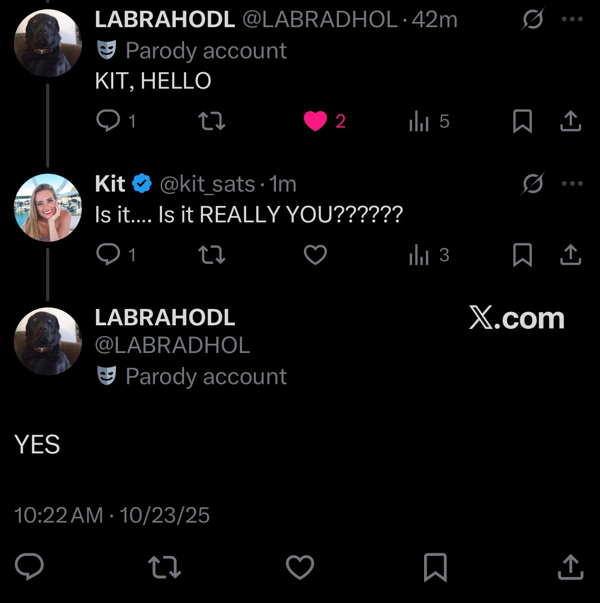 CALL THE BULLS
LET THE BULL RUN BEGIN
<a href="/LABRADHOL/">LABRAHODL</a> 👀🚀