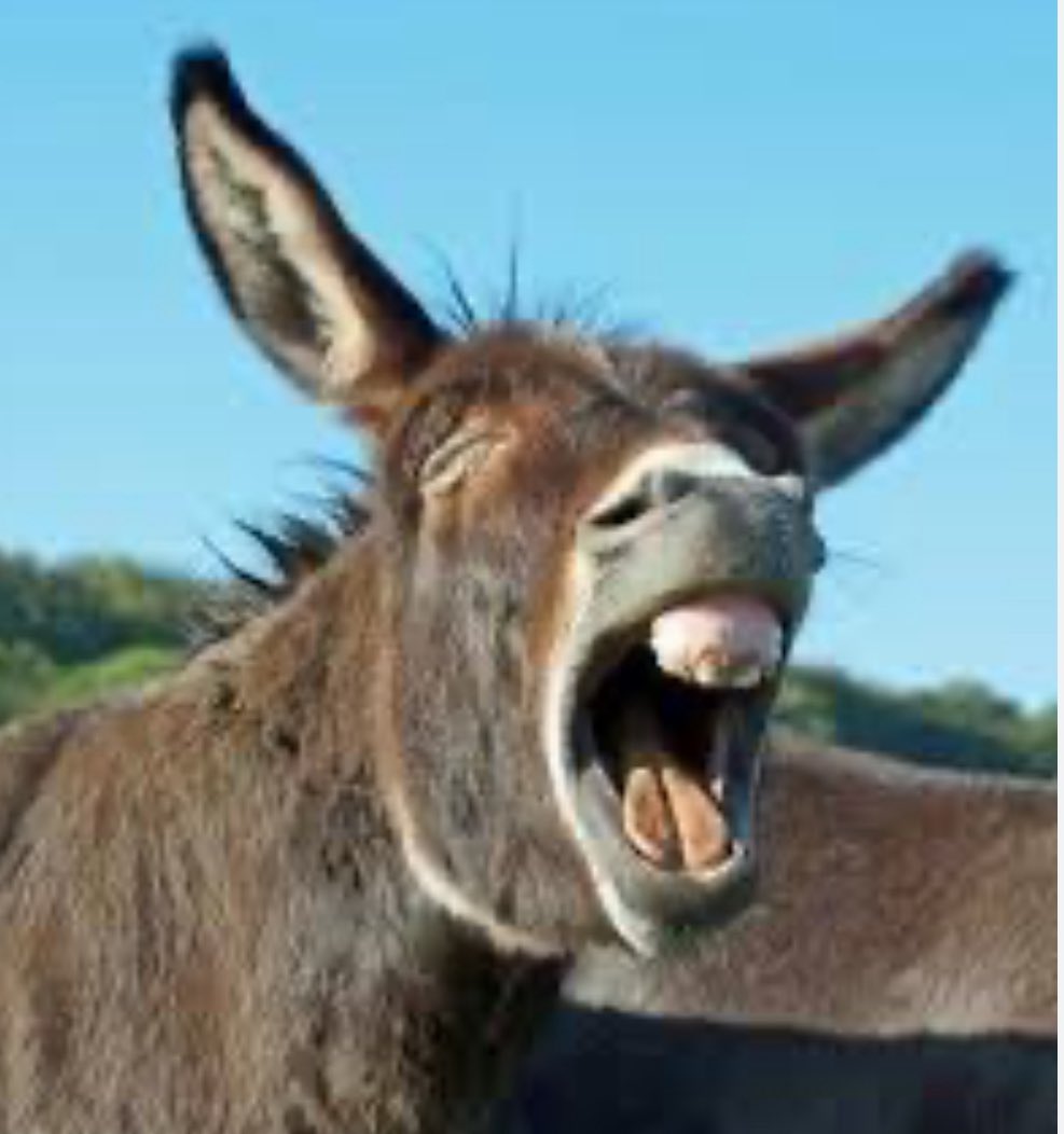 DOCOSU63 tweet media