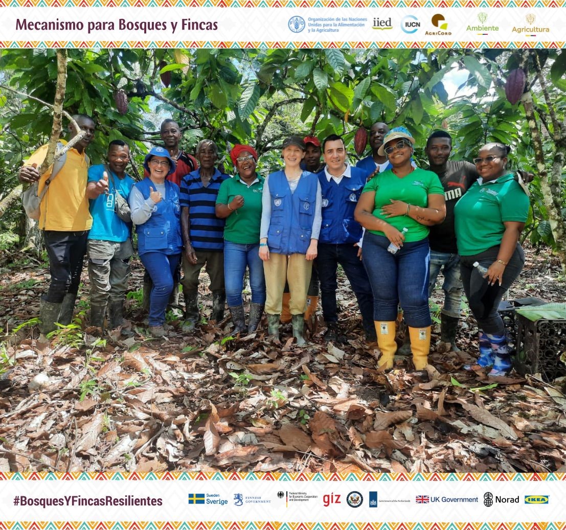 FAO Colombia tweet media