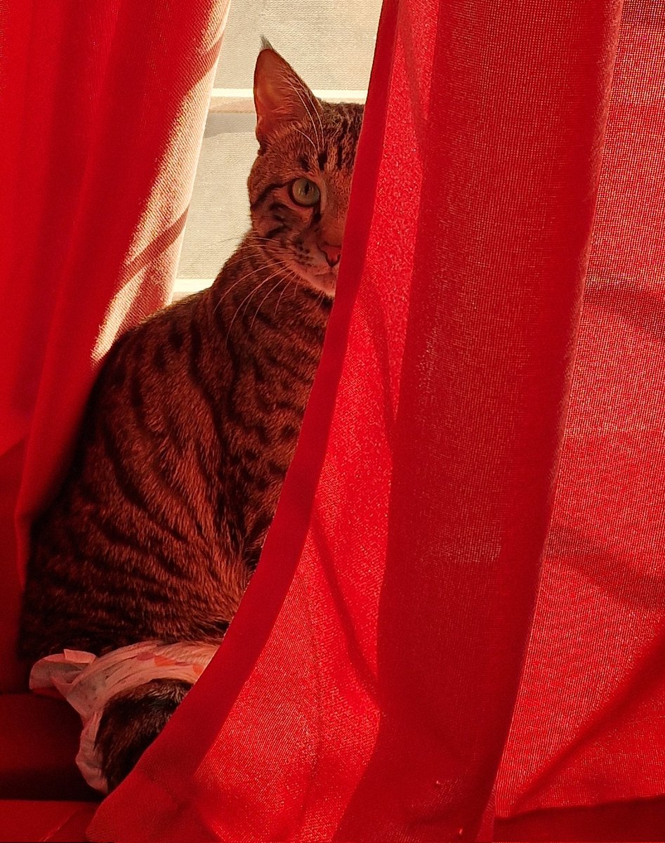 n_yoonminer's tweet image. مهری پر از بی مهری...