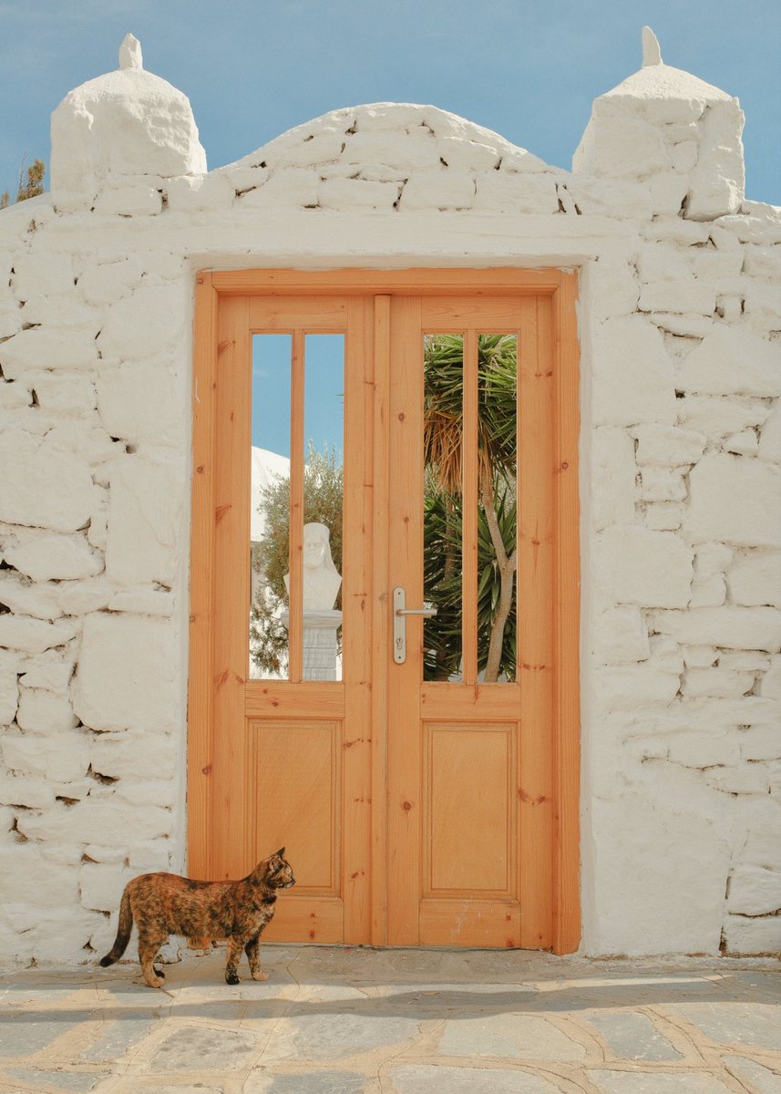 Gm 

Take me back to Mykonos 🐈