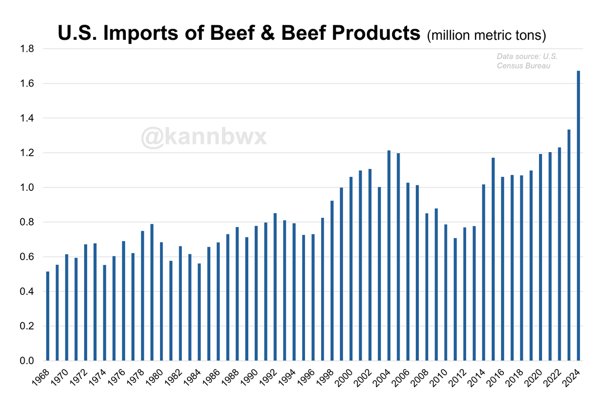 🇺🇸U.S. beef &amp; beef product imports were record high in 2024 (up 25% on the year).
Jan-July 2025 imports were up 27% over the same period in 2024.

But U.S. beef prices have still surged in the last year+ *despite* the huge spike in imports.