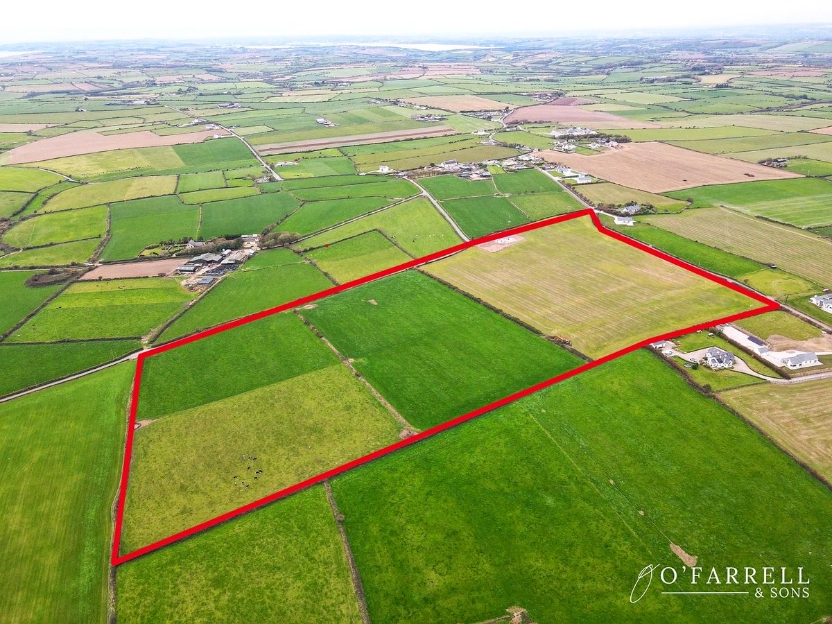 O’Farrell & Sons Estate Agency tweet media