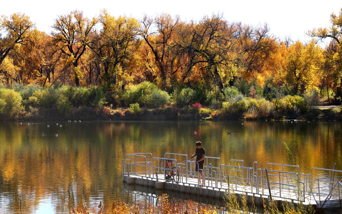 A fisherman tests the water at Riverfront Park in Billings, Montana as cottonwood trees color the skyline this week.