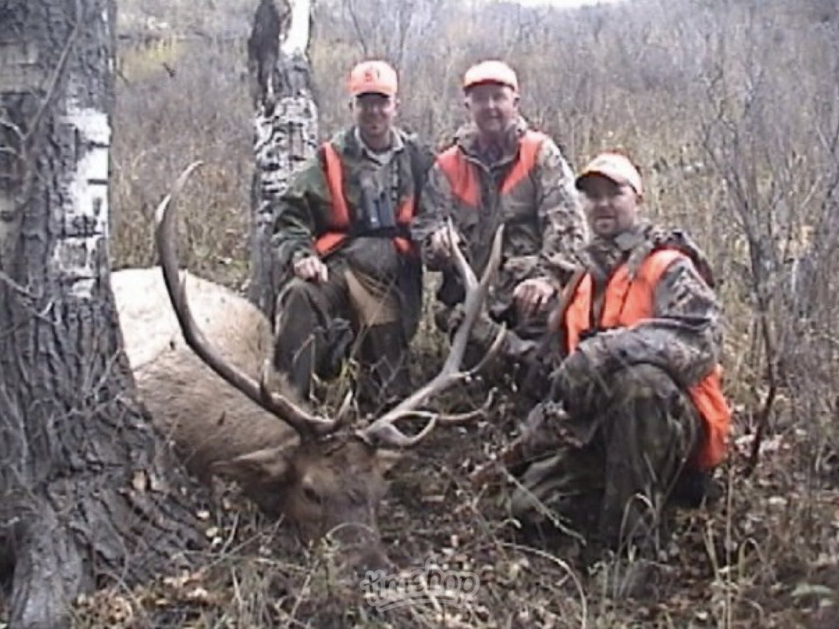 RightLine LLC tweet media