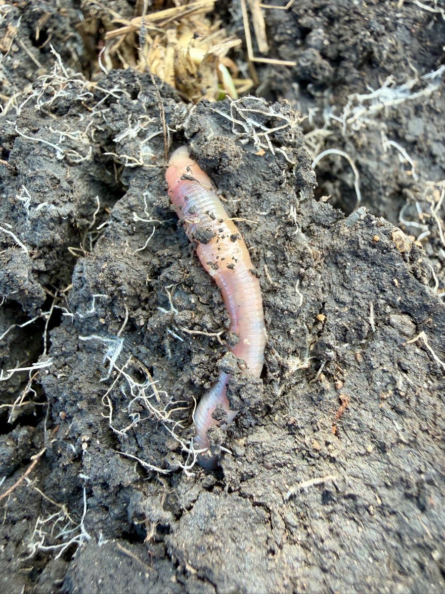 Joe Breker tweet media