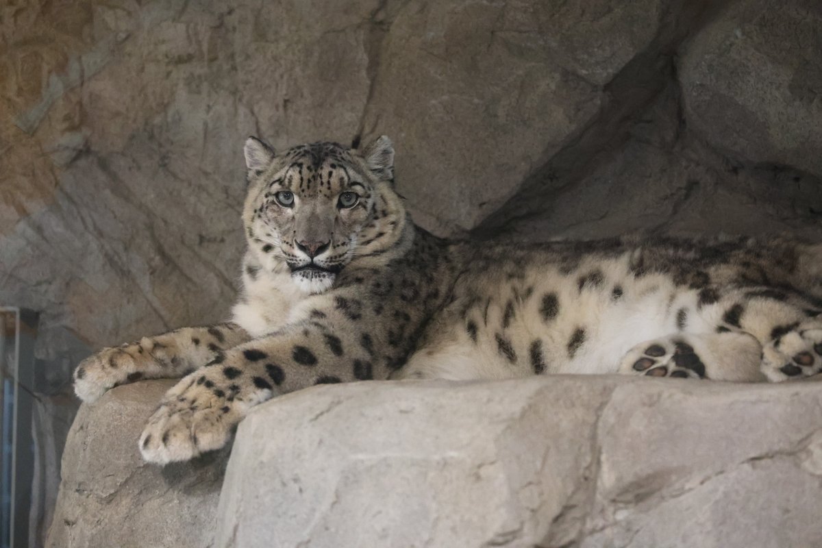 ⭐︎山⭐︎ minatomirai0608 on X