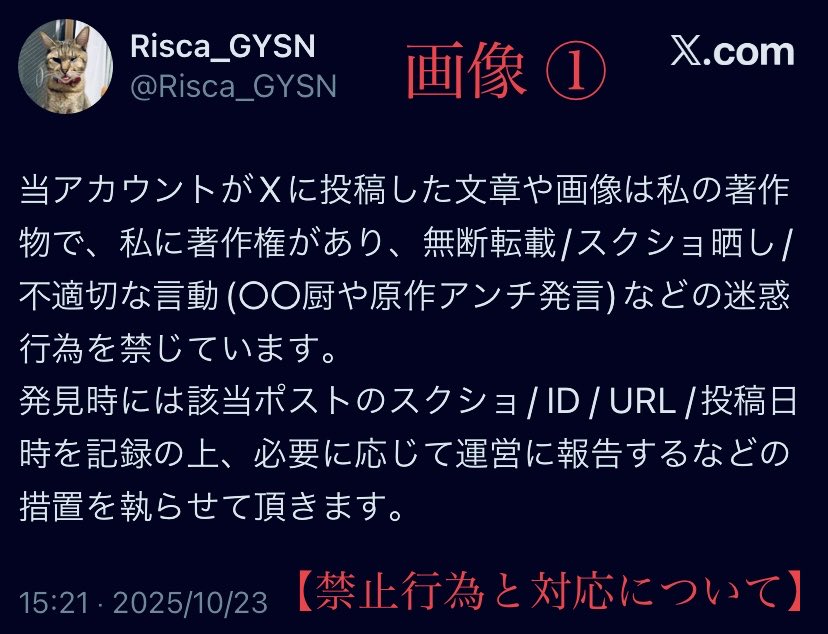 Risca_GYSN tweet media