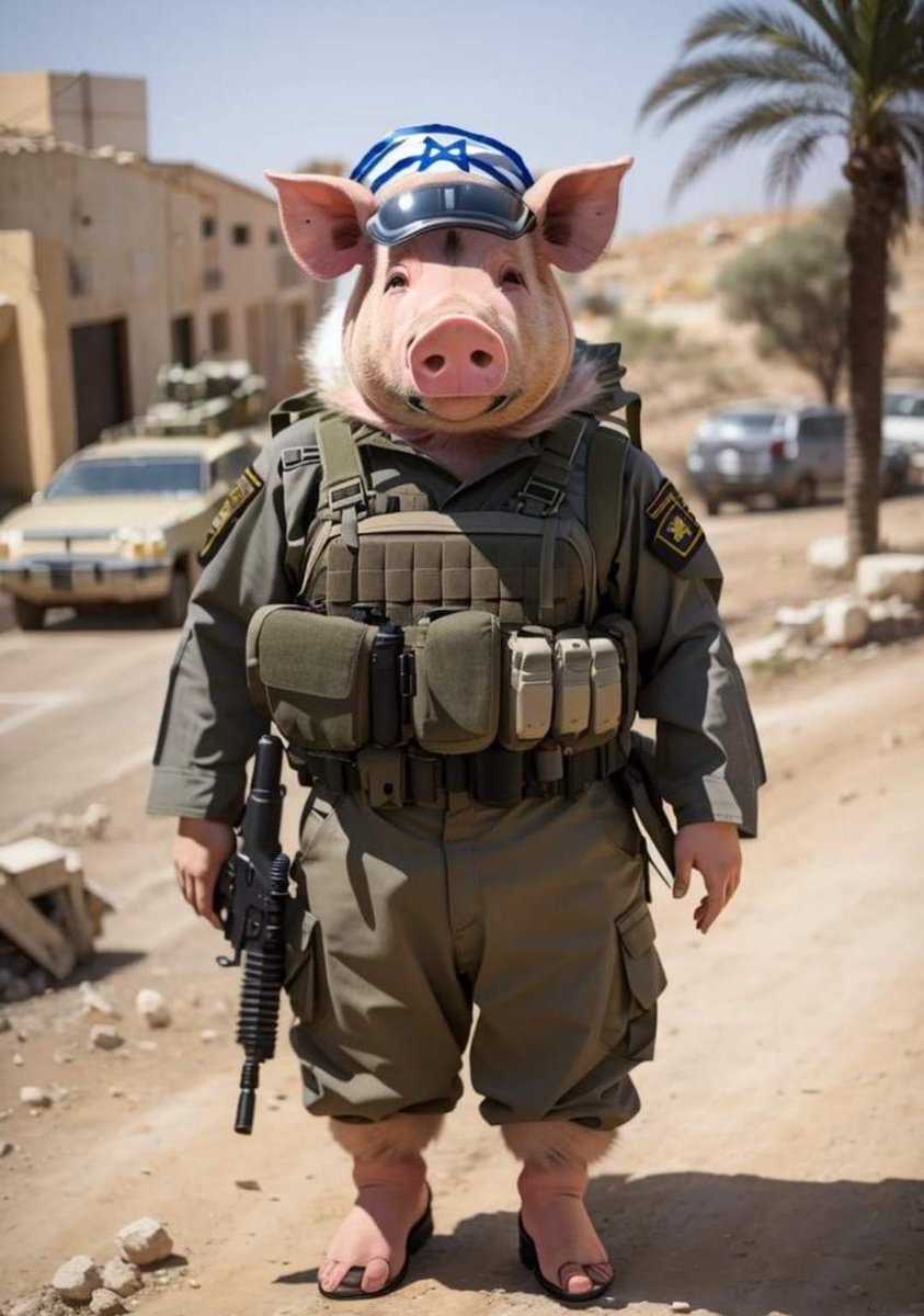 Truth0fFact's tweet photo. Palestine have no tanks, no Air Force, no Army, no Navy, only have Palestinian freedom fighter likes Hamas/Saraya Al-Quds and still using simple weapons, the idf is just full of cowards and losers, the dumbfucks army in the world who wear diapers in Gaza, have no moral n no brain https://t.co/Br1R9ncs00