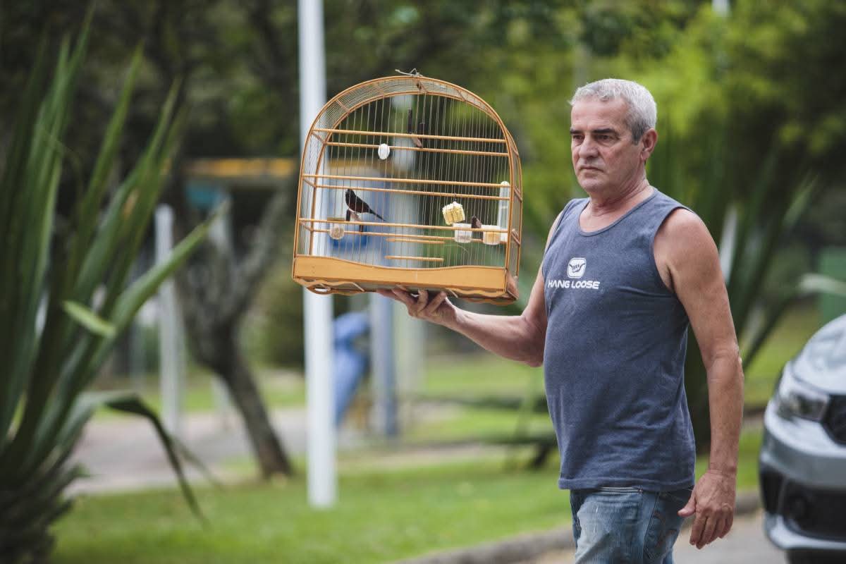 Como identificar um desocupado