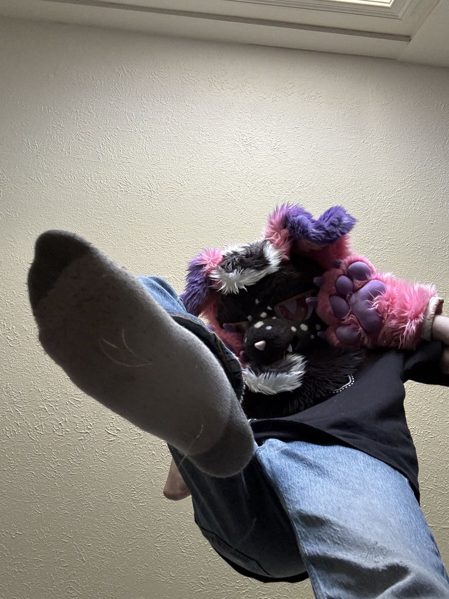 alexx 🐾🔞 tweet media