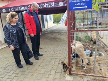 Sokak Hayvanları Rehabilitasyon Merkezi İncelemesi