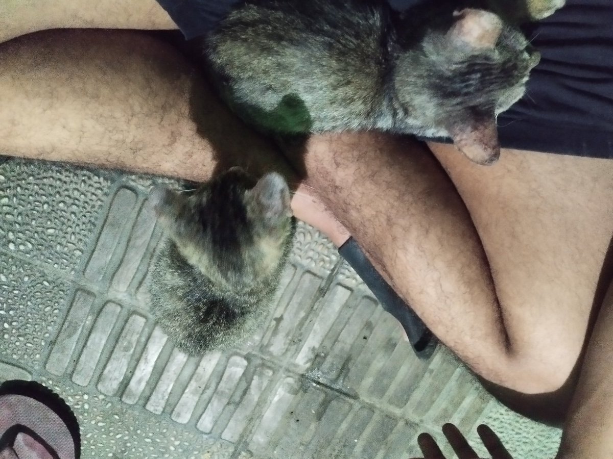 adlnangs's tweet image. lucu amay kedinginan langsung nyerbuu