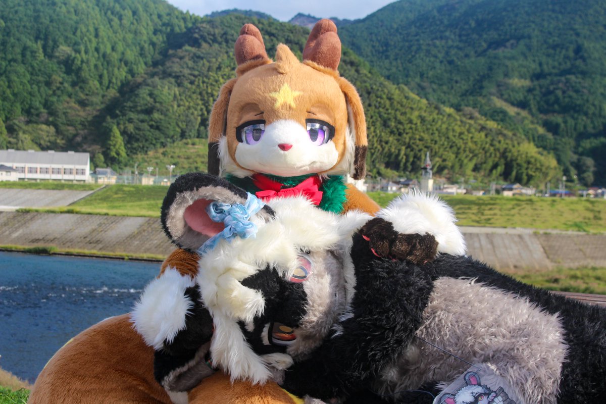 🐇クリスターくんのかわいさはみんなのものだけど、おひざの上はボクだけのものだもんねー✨✨

#FursuitFriday