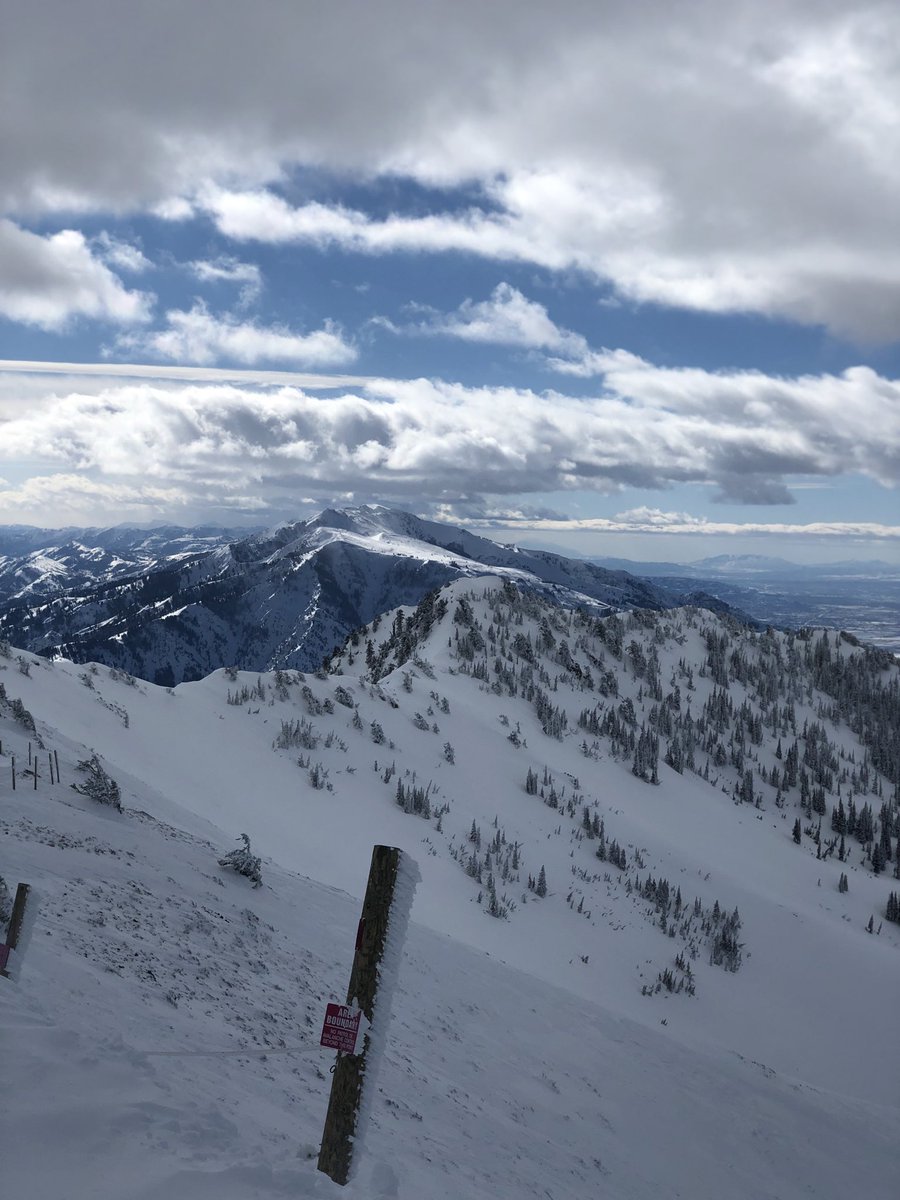 Snow Dad tweet media