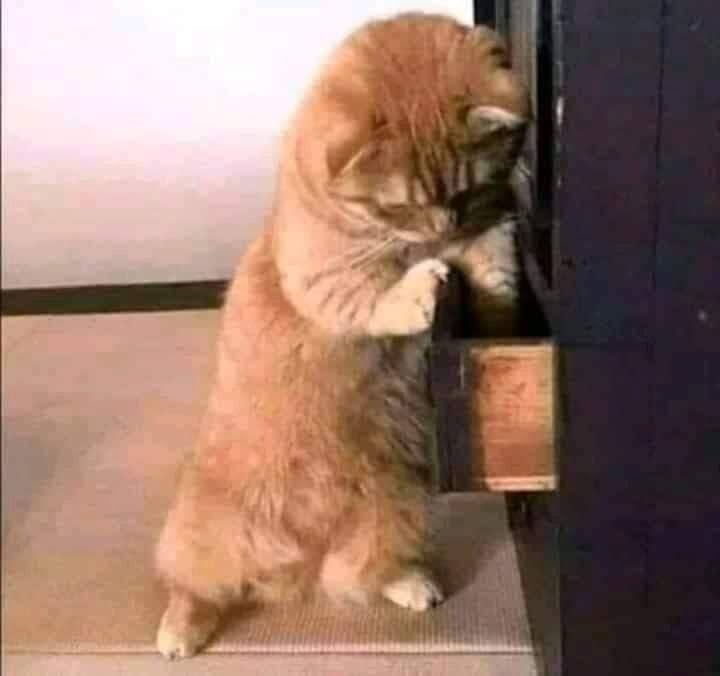 - راحت فين زهرة شبابي كانت هنا..💔😂🤦‍♂️عرض المزيد