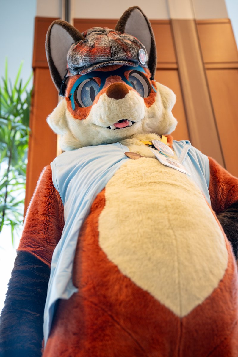 最近よくイベントで「太った？（意訳）」って言われるんだけどそんなことないです（多分）
#FursuitFriday
📷：<a href="/ituka_ookami/">いつか</a>