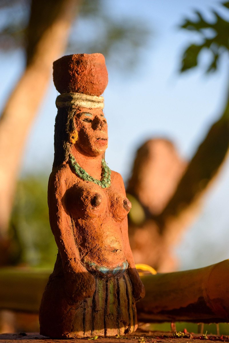 Human Rights Here tweet media