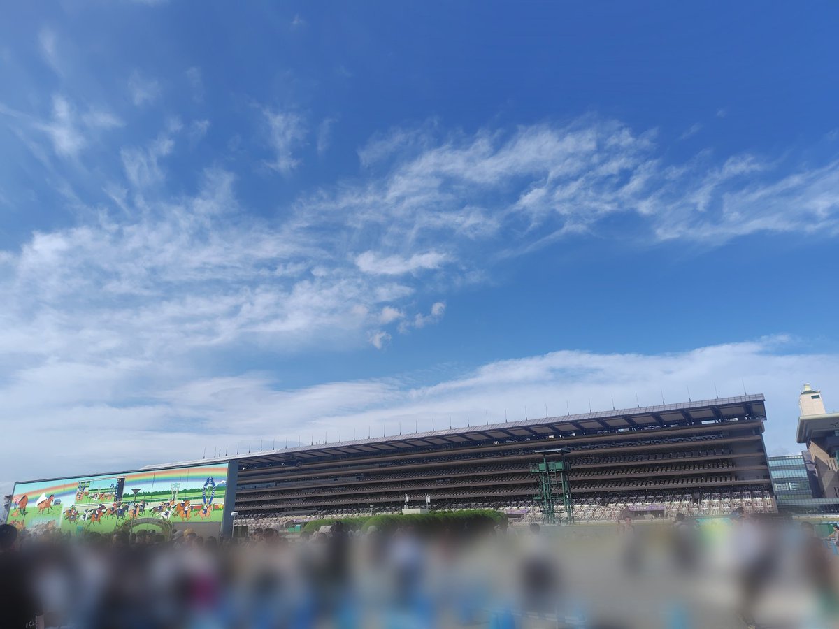 沙衣子(さいこ)🦔 on X