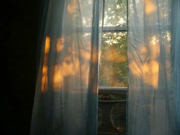 aesthetics (@aesthetics_40) on Twitter photo 