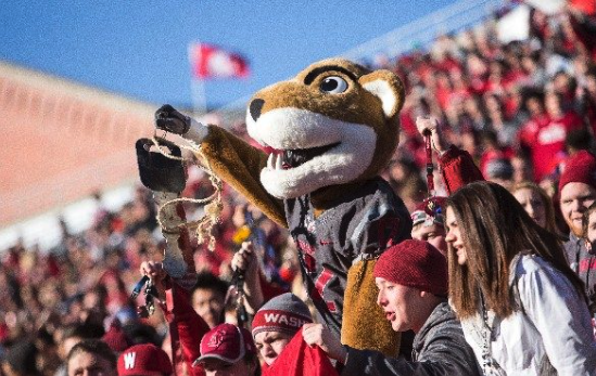 JodiHoatson's tweet photo. Pullman rocks! #GoCougs #pullmanbct @BarstoolWazzu @PapaThrow https://t.co/3bUNIUNbZf