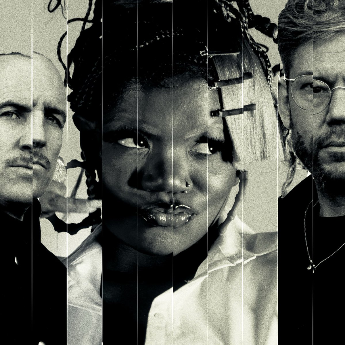 TRACE Southern Africa tweet media