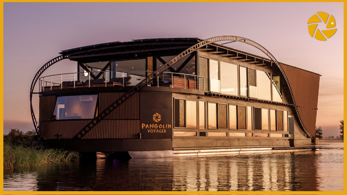 Pangolin Wildlife Photography tweet media