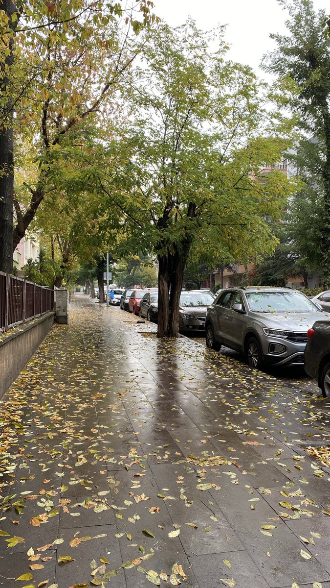 Ankarada herkes çift değil bazıları da radiohead ve smiths dinleyerek yürüyor