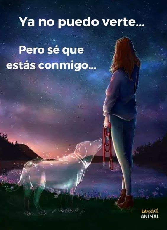 chuky_sam's tweet photo. @Laura952004 https://t.co/2GHdmlMXob
