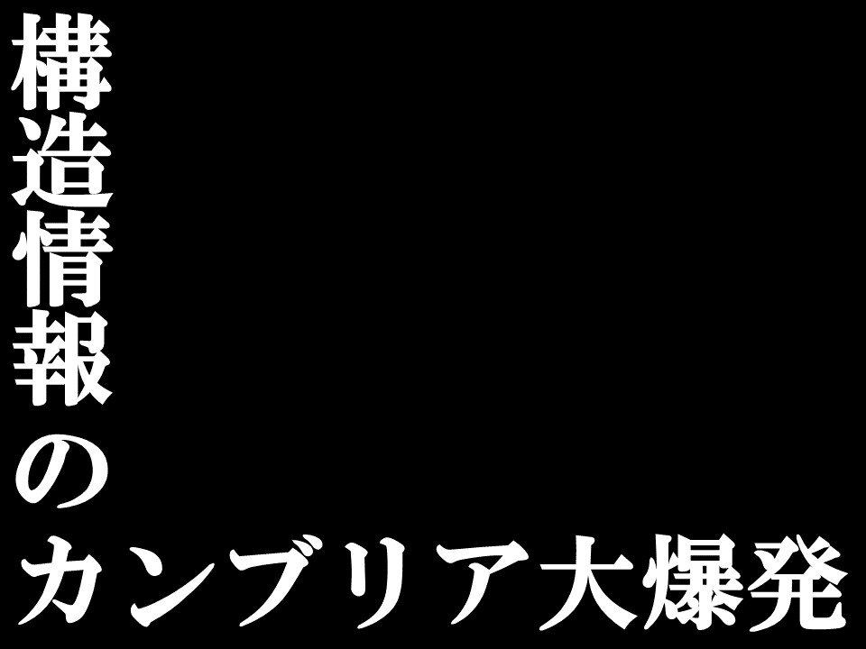 Motoyuki Hattori (服部素之) tweet media