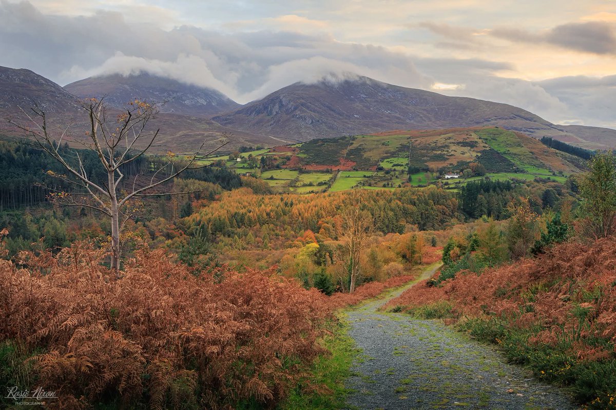 🍂 Autumn in Northern Ireland. Vibrant trees, winding paths, &amp; epic views. 📸 Living with osteoarthritis in my hips isn’t easy, but my low-carb lifestyle keeps inflammation &amp; pain in check, letting me explore and create. 🌄 #MourneMountains #Photography #LowCarbLife #AutumnVibes