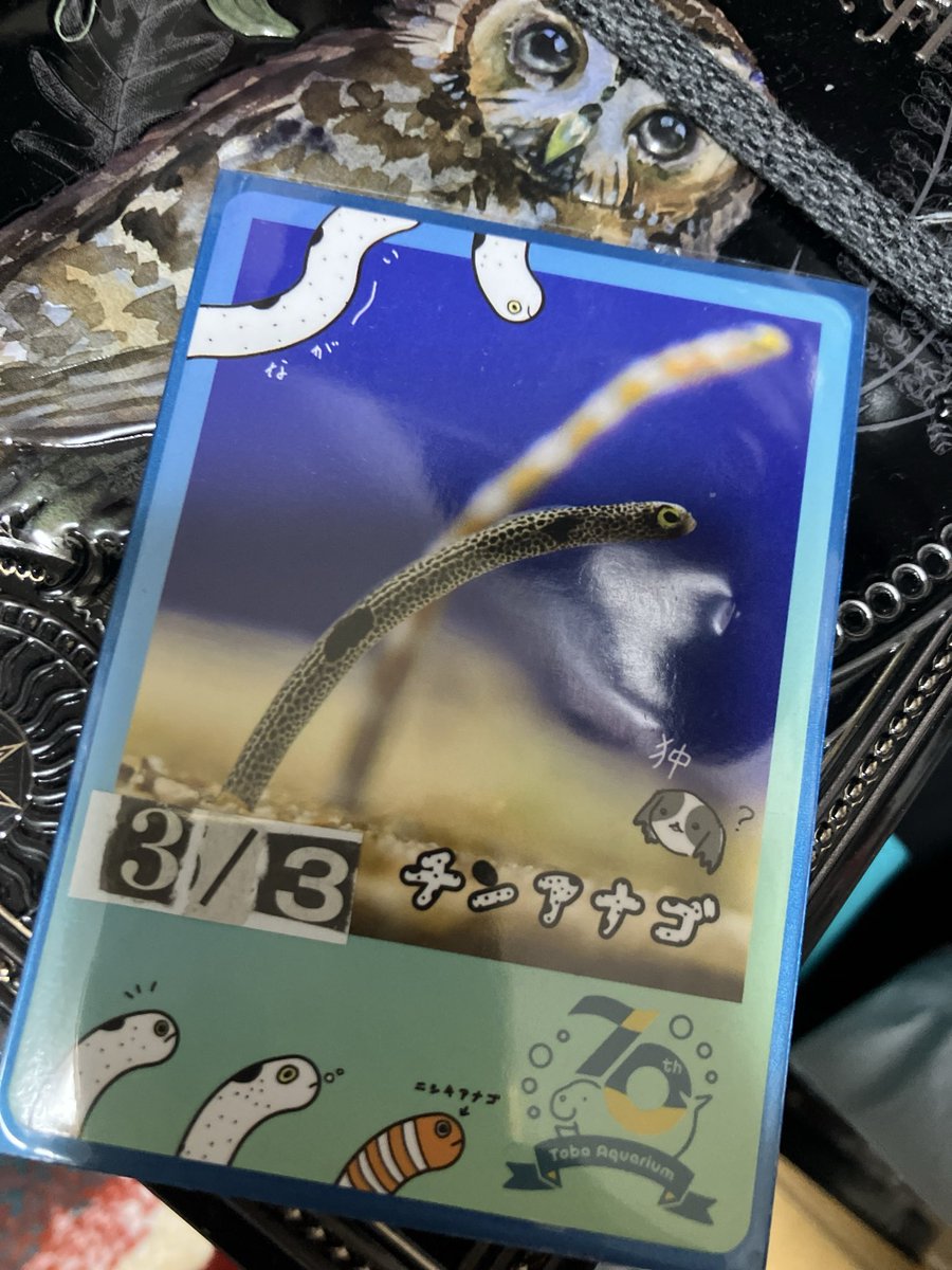 コーマの分体トークン