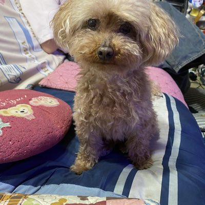 asamitlip's tweet photo. #新しいプロフィール画像 https://t.co/H7AefqfRft