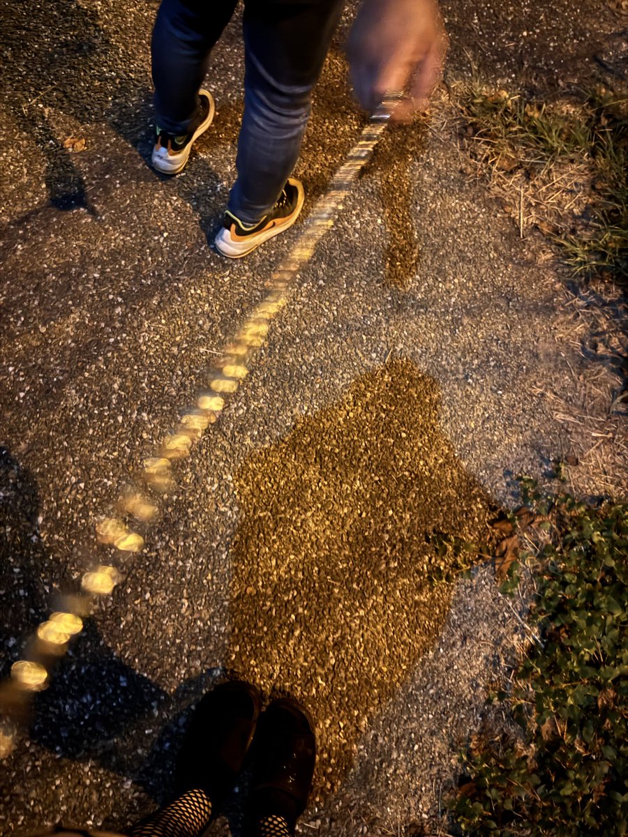 ぷりん tweet media