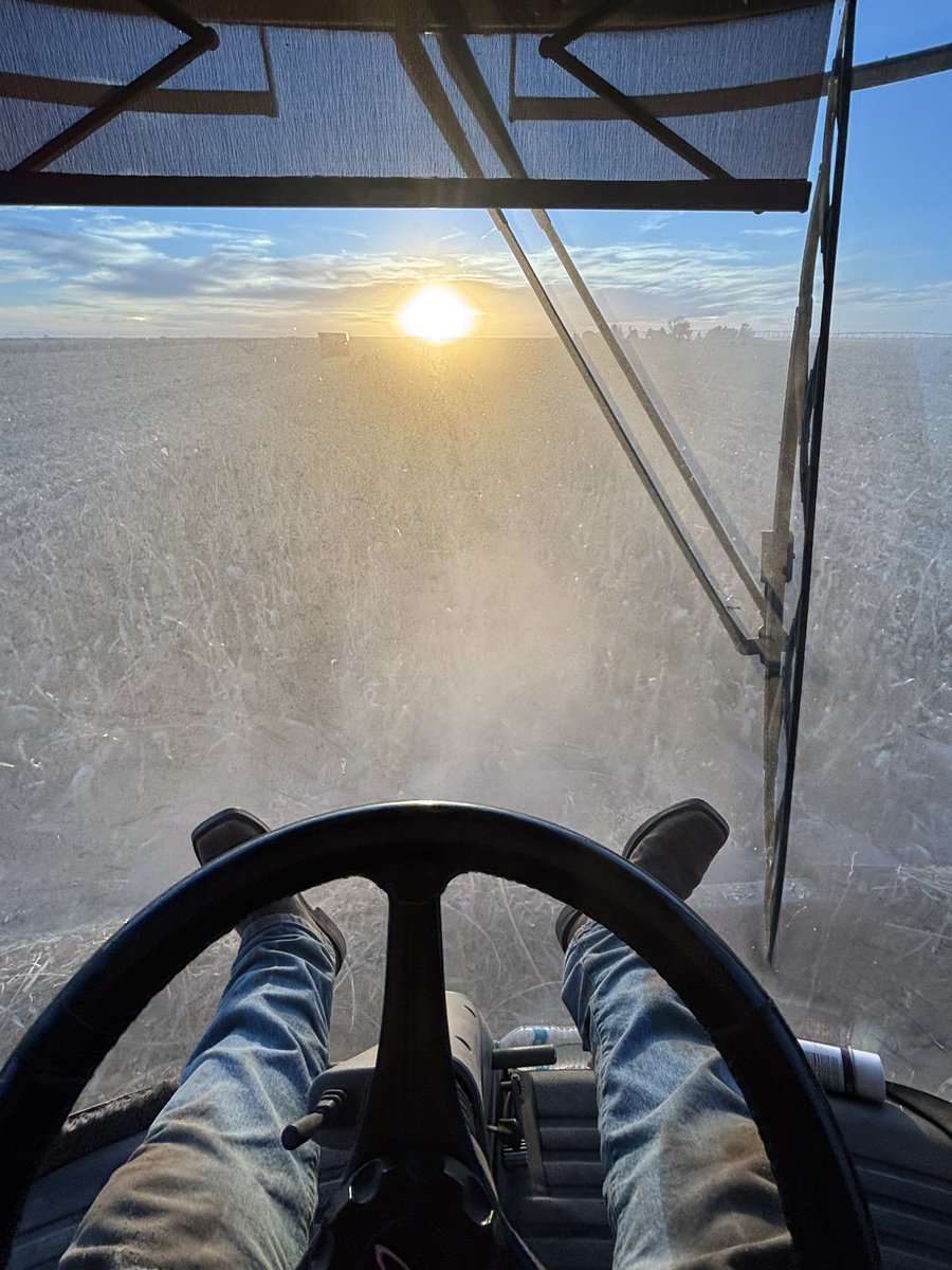 I took this pic at precisely Can’t See $hit-O’Clock last night on my International Harvester IYKYK <a href="/DallasSeader/">Dallas Seader</a>