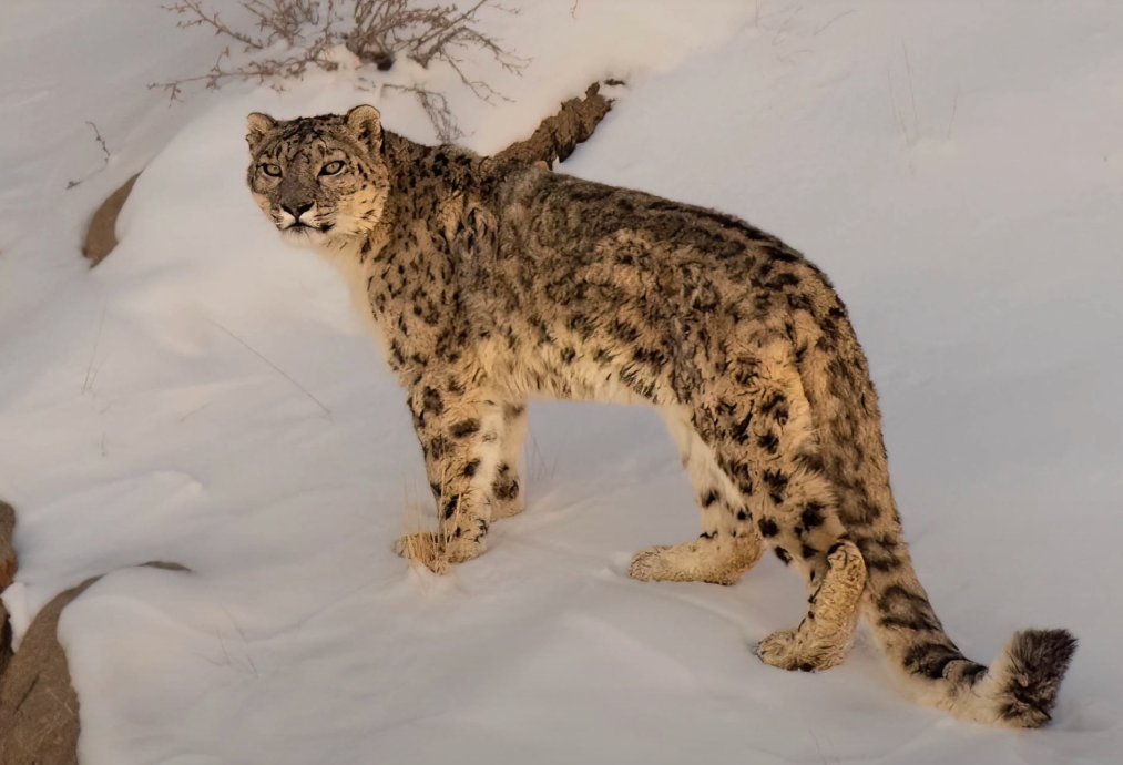 Sean Mukherjee tweet media