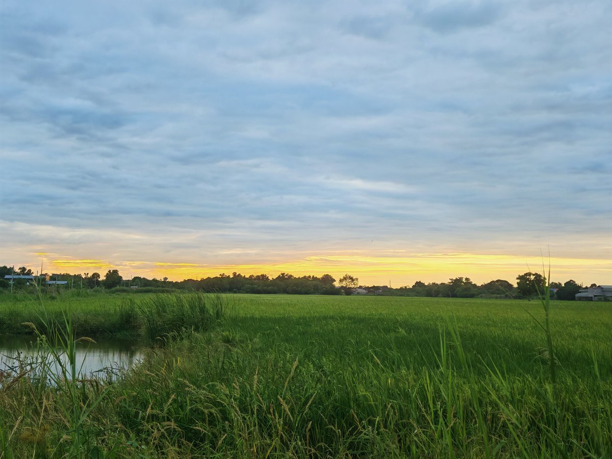 AnywayOOOO's tweet image. บรรยากาศดีๆหลังเลิกงานยังพอมีให้เห็น
#ปทุมธานี #คลองหก