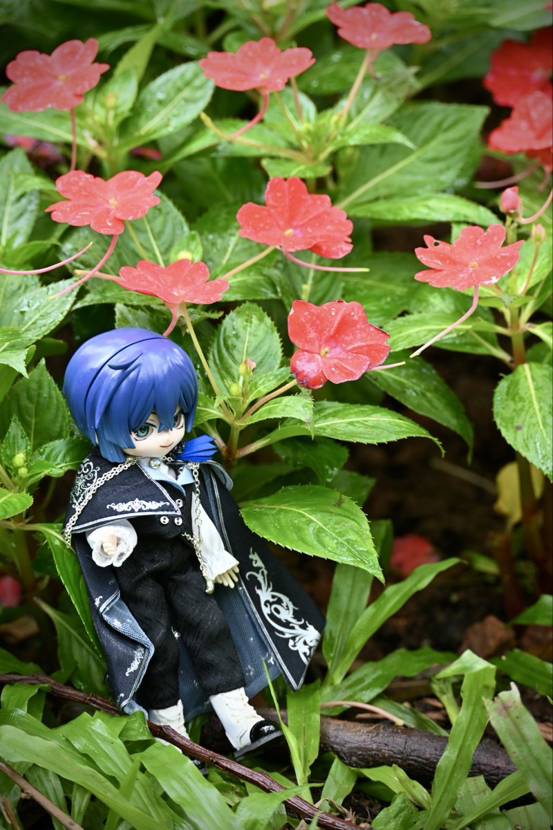 宫禾葉 (@yizhigongye) on Twitter photo 