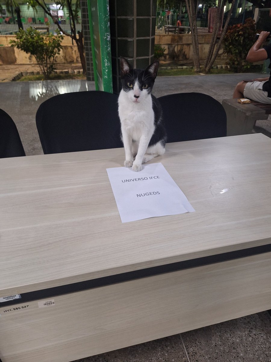codesbykel's tweet image. quase um mês de hiato socorro!!! mas voltando com studylog de ontem (22/10)
tivemos a última aula de eng de software antes da prova, sobre diagramas de casos de uso e depois tira dúvidas de sistemas embarcados sobre o trabalho (n tirei foto de nada só desse gatinho trabalhando