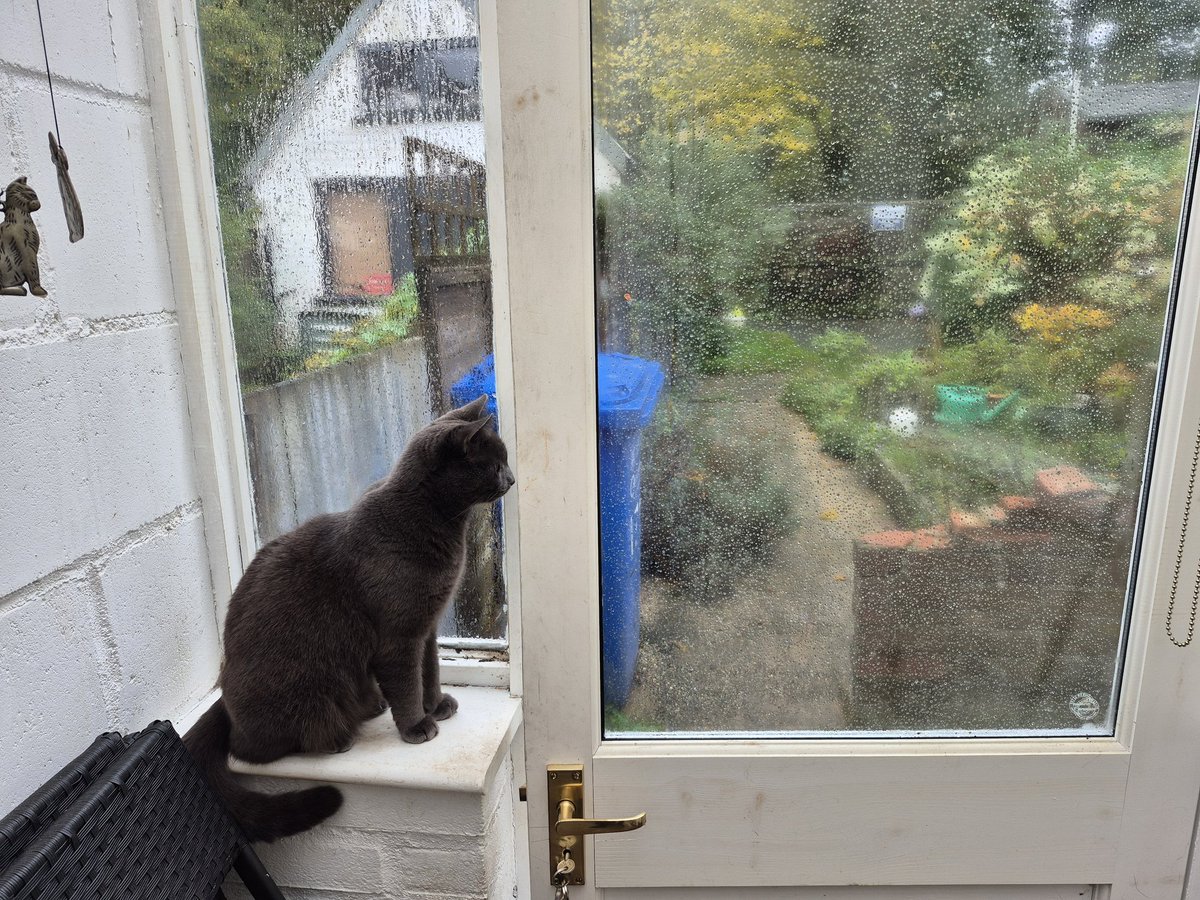 Go away Storm Benjamin! I want to go out 😾🌬🌧