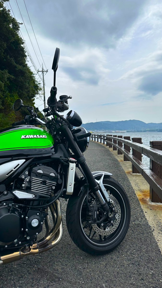 212　とらちゃん とらちゃん on X