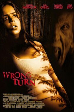 karavarus's tweet image. 🎥 REVIEW: “Wrong Turn” (2003) Turns out there are 7 films in this franchise.  The first five follow the continuity of this film, the later 2 are reboots. I have no intention of diving into all of them now—maybe next October.  I’m not going to say this first one is great, but…