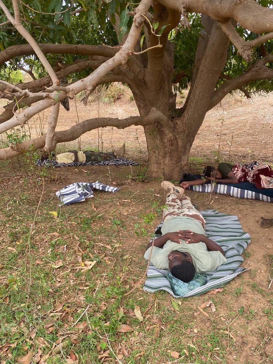 هلّا رحمت متيَّمًا عصفت به الأشواق وهنا…
وَهَفَت بِه الذِكْرَى فَطَاف مَع الْدُّجَى مَغْنَى فَمَغْنّى..؟

هناك تحت شجرة طوبى يرقد المُهَنَّد والخطّاب ومحمد الفضل وأبو إبراهيم، لا حزنٌ يمس قلوبهم ولا رهق يضني أرواحهم…هكذا يُخَيَّل إلي في رؤى أغسطس، ثم في سبتمبر تتنكر الرؤى..وفي