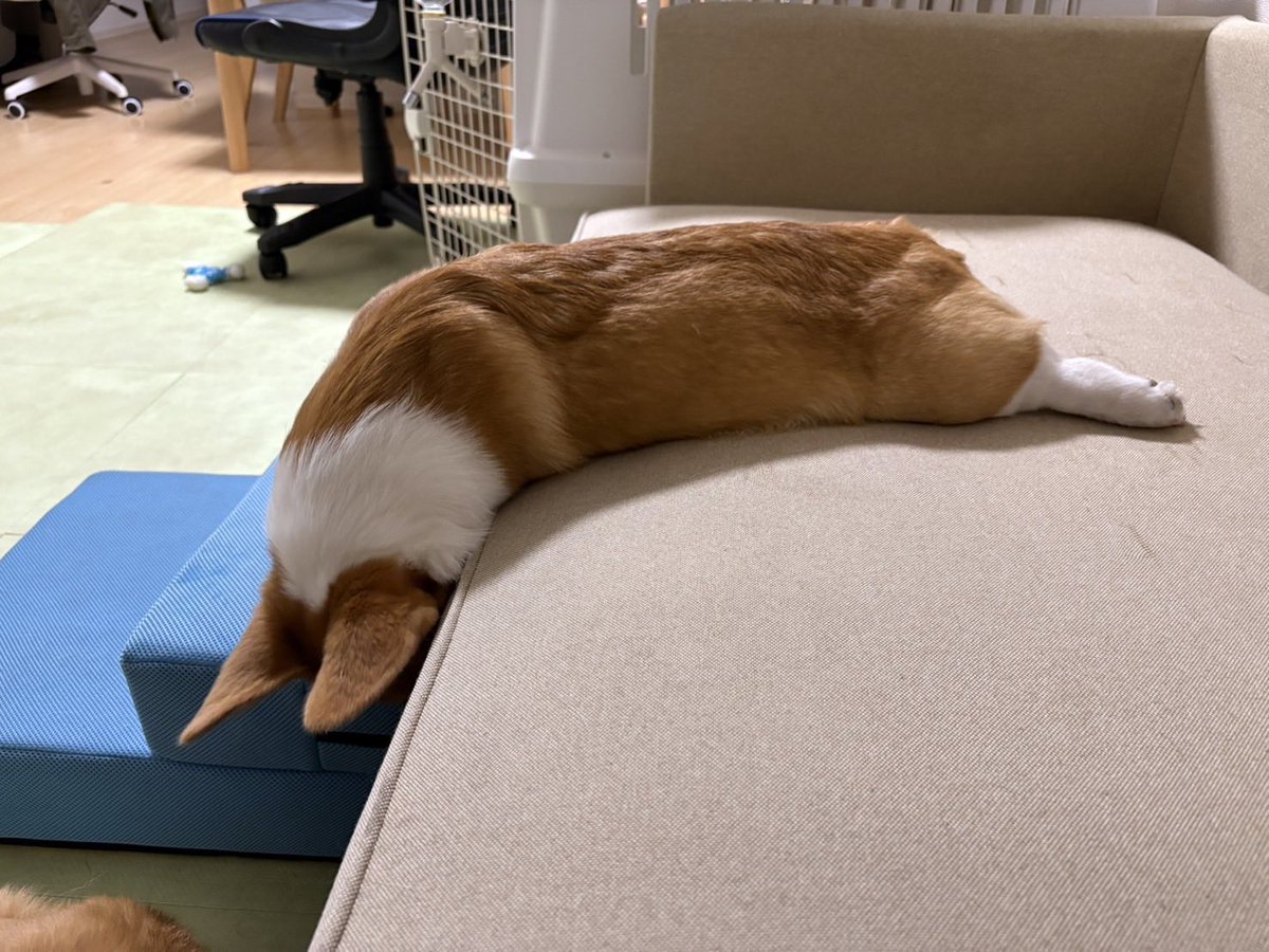 tis様❁専用ページ A4A/エーフォーエー/ S/S TEE FLOWER | L.H.P（エルエイチピー