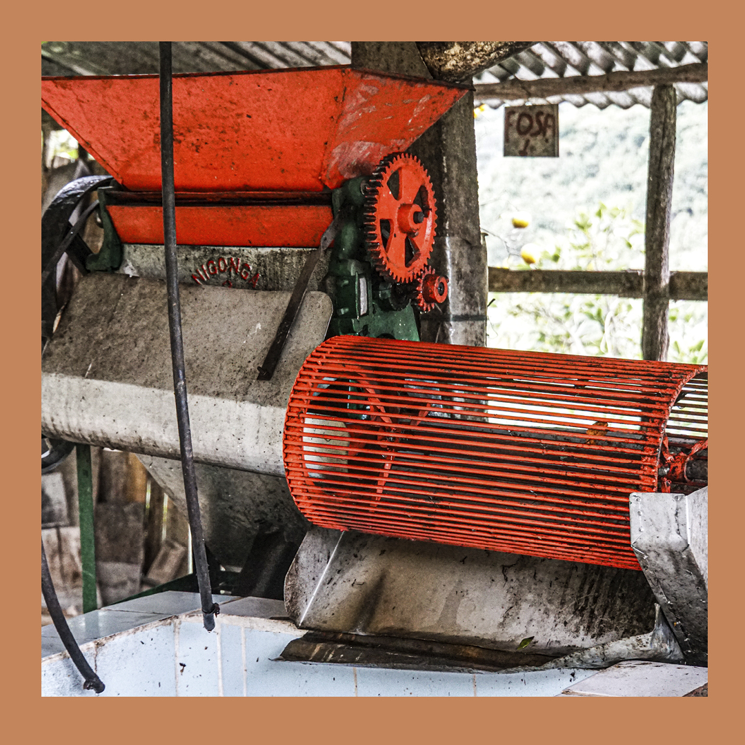 CarvetiiCoffee's tweet image. We have a new filter coffee about to hit the Roaster! This is a fully washed option from China Alta in Colombia.

Keep a look out for this one going up on our website soon!

#newcoffee #coffee #coffeeroasting #colombiancoffee #coffeelover #coffeetime #coffeebeans #filtercoffee